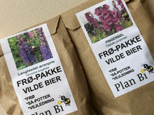 Indlæs billede til gallerivisning NYHED: TO BEDSTE VENNER. Komplet så-kit med to BFF-stauder