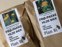 Indlæs billede til gallerivisning NYHED: TO BEDSTE VENNER. Komplet så-kit med to BFF-stauder