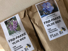 Indlæs billede til gallerivisning NYHED: TO BEDSTE VENNER. Komplet så-kit med to BFF-stauder