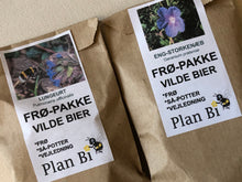 Indlæs billede til gallerivisning NYHED: TO BEDSTE VENNER. Komplet så-kit med to BFF-stauder