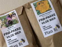 Indlæs billede til gallerivisning NYHED: TO BEDSTE VENNER. Komplet så-kit med to BFF-stauder