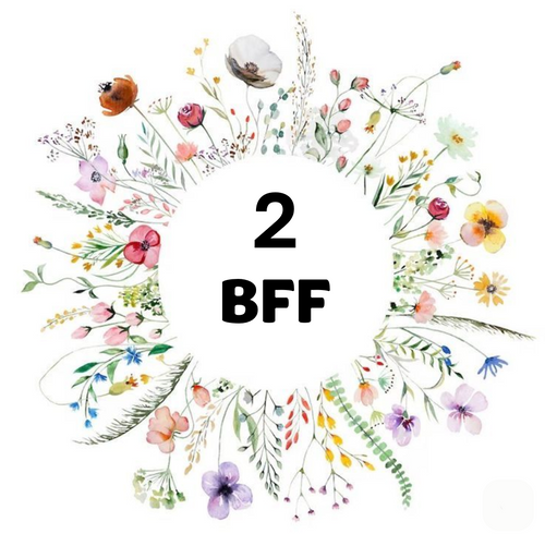 NYHED: TO BEDSTE VENNER. Komplet så-kit med to BFF-stauder