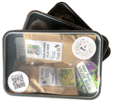 Indlæs billede til gallerivisning NYHED: TO BEDSTE VENNER. Komplet så-kit med to BFF-stauder