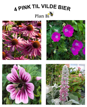 4 Gode Bi-planter - Pink